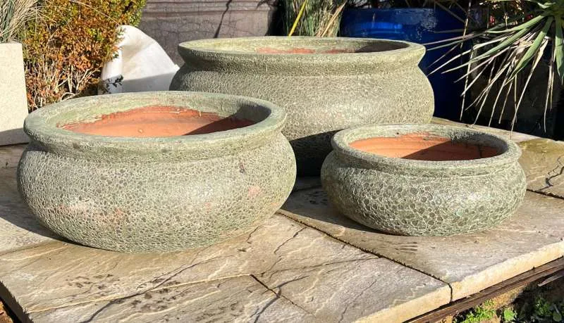 Atlantis Giant Low Bowl