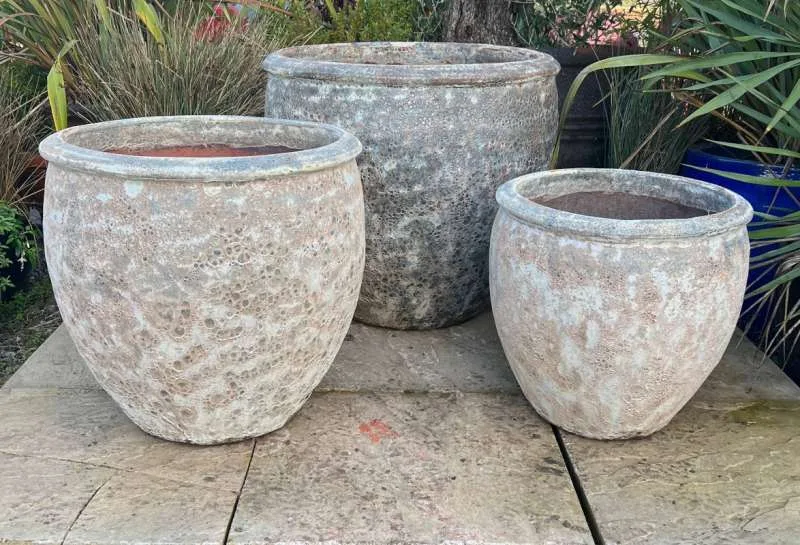 Atlantis Sand Tall Rimmed Egg Pot