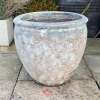 Atlantis Sand Tall Rimmed Egg Pot - Image 4