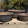 Old Stone Azelia Bowl Medium - Image 2