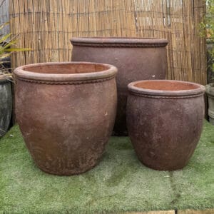 Rustic Tall Scallop Rim