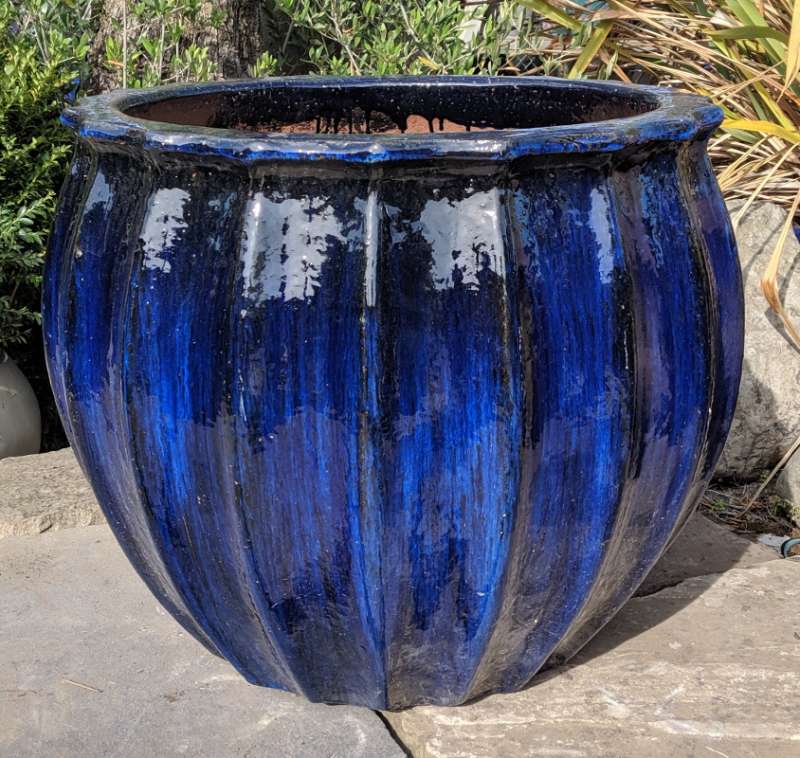 Glazed Star Fruit Pot Blue | World of Pots