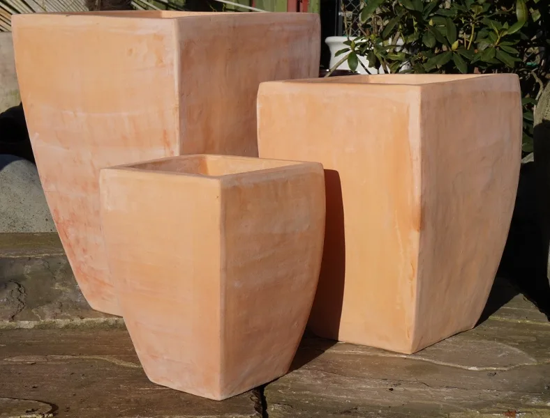 Tuscan Curved Camilla Short Set - Image 2