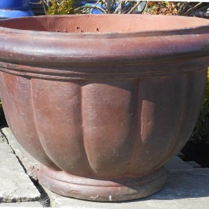 Rustic Giant Pumkin Bowl -0