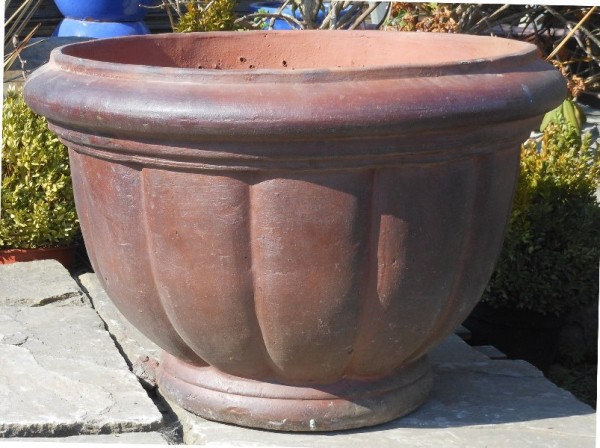 Rustic Giant Pumkin Bowl -0