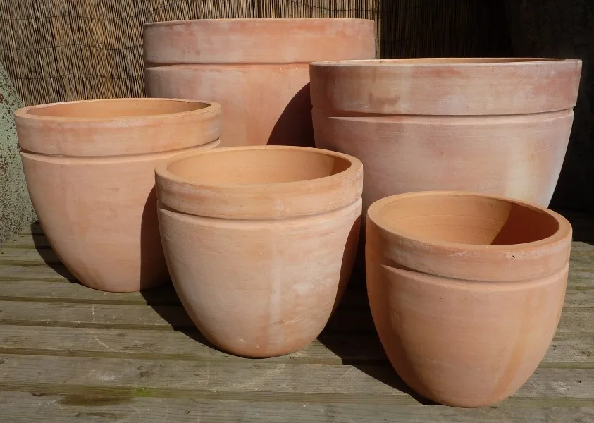 Tuscan Egg Pot-244