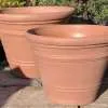 Light Weight Heavy Rimmed Pot Medium - Image 2