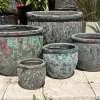 Atlantis Burnt Green Ace Pot
