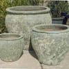 Atlantis Pale Green Saigon Pot