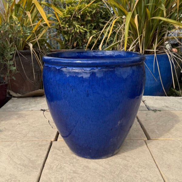 Glazed Blue Rimmed Egg Pot - Image 2