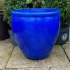 Glazed Blue Rimmed Egg Pot - Image 3