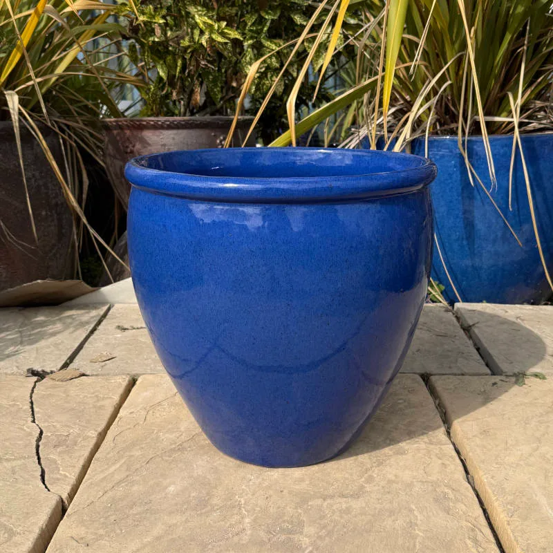 Glazed Blue Rimmed Egg Pot - Image 3