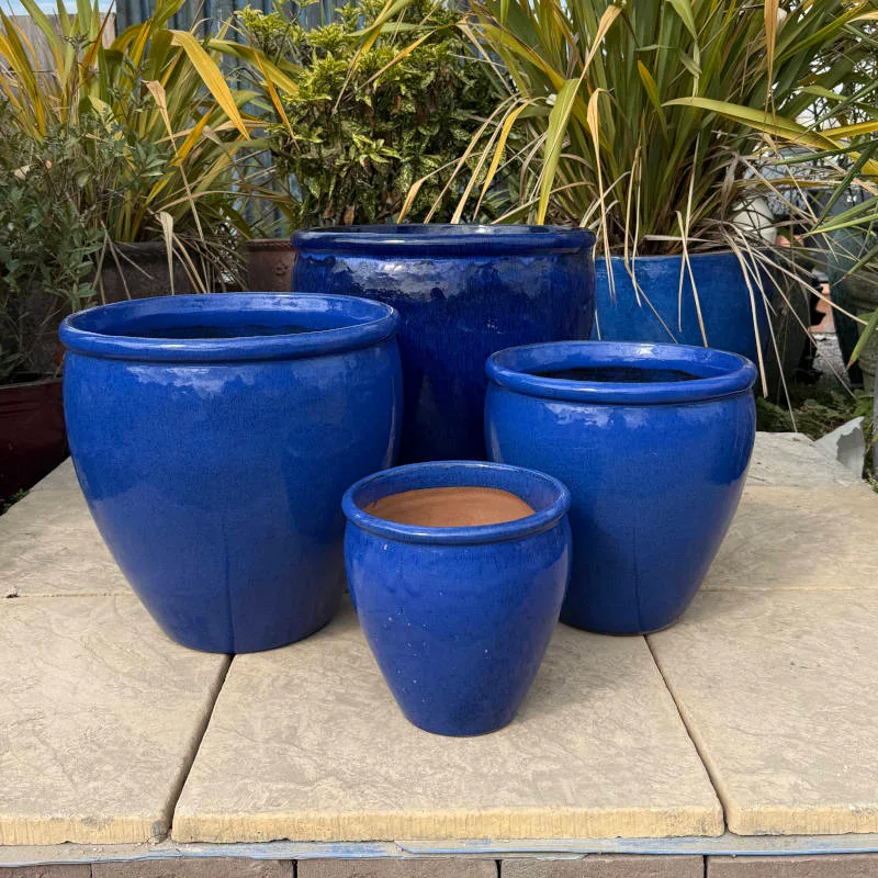 Glazed Blue Rimmed Egg Pot