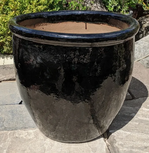 Glazed Black Tall 352 - Image 2