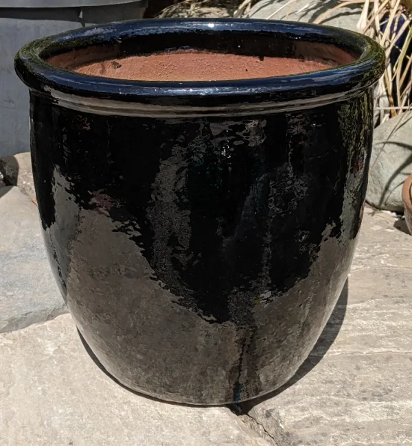Glazed Black Tall 352 - Image 3