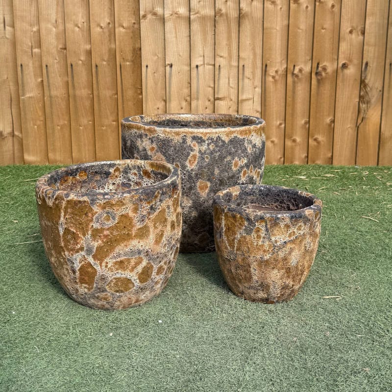 Atlantis Rust Giant Egg Pot - Image 5