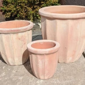Tuscan Scallop Pot Short Set