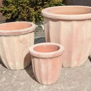 Tuscan Scallop Pot Short Set
