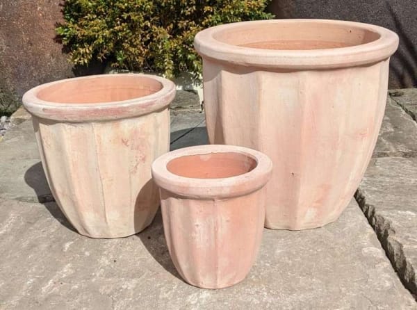 Tuscan Scallop Pot Short Set