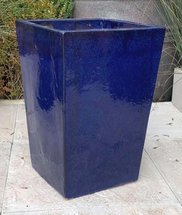 Glazed Blue Camilla - Image 2