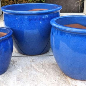 Large Glazed Ceramic Plant Pots for the Garden | World of Pots