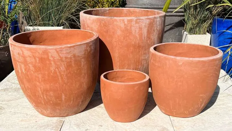 Terracotta New Egg Pot