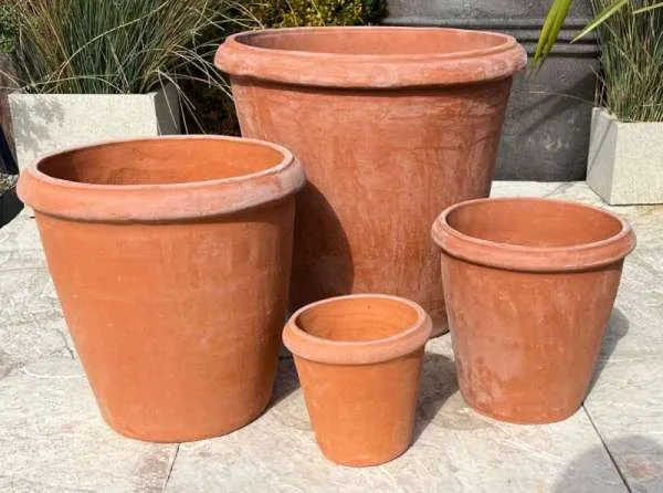 Terracotta New Palermo Short Set - Image 2