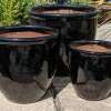Glazed Black Tall 352