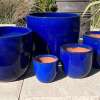 Glazed Blue Vaso Egg Pot