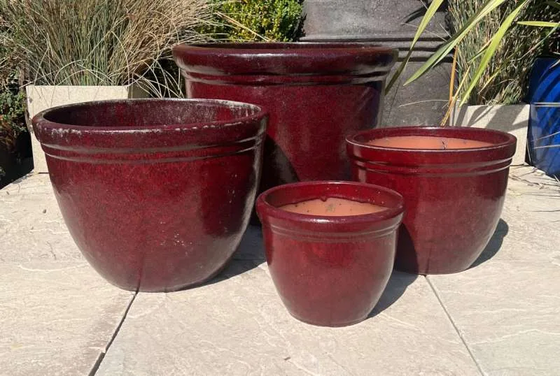 Glazed Ox Blood Red 352