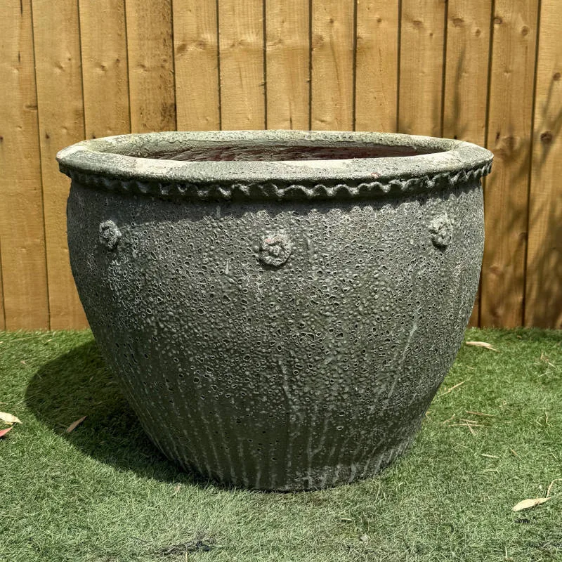 Atlantis Scallop Rim Apricot - Image 3