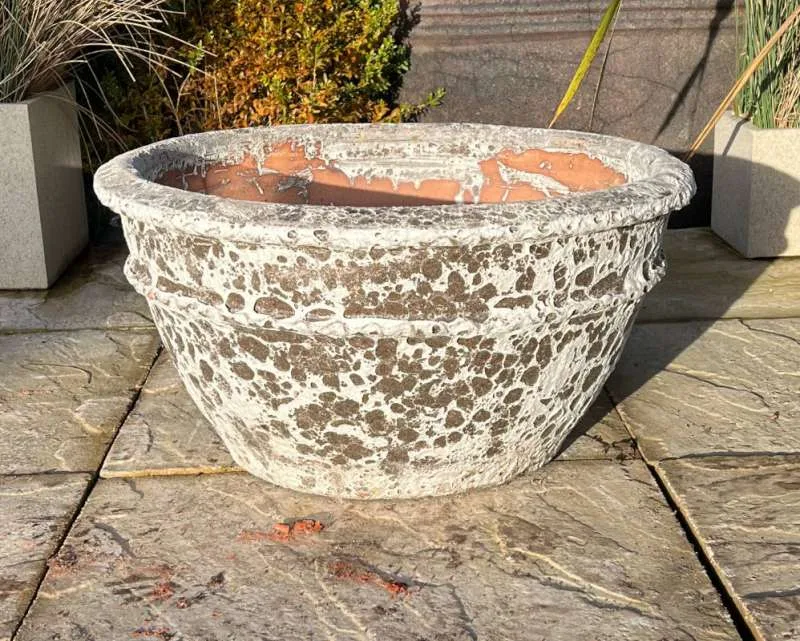 Atlantis White Scallop Rim Bowl - Image 3
