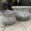 Atlantis White Flared Bowl - Image 3