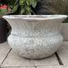 Atlantis White Flared Bowl - Image 2
