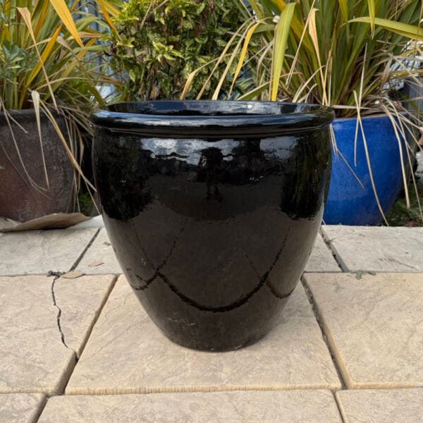 Glazed Black Rimmed Egg Pot - Image 2