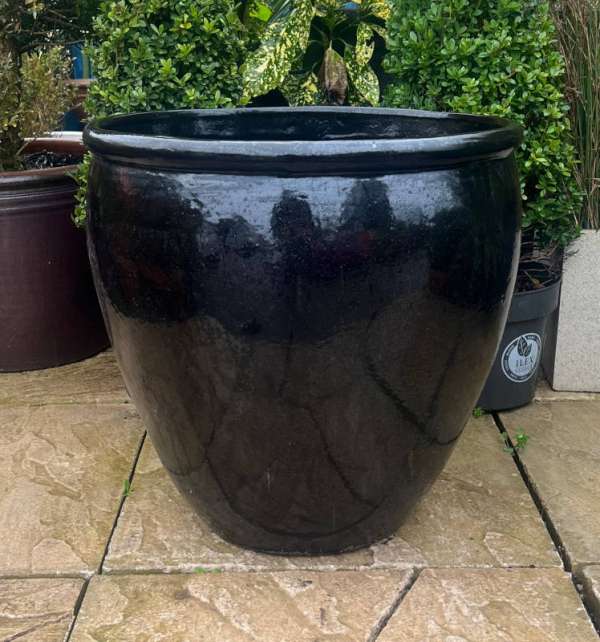 Glazed Black Rimmed Egg Pot - Image 2