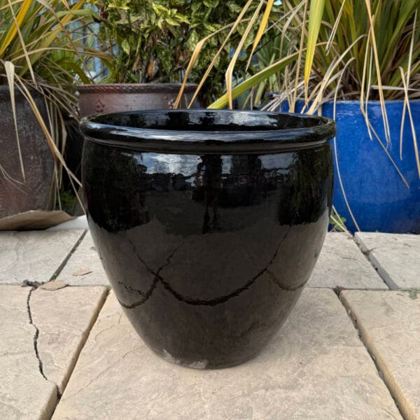 Glazed Black Rimmed Egg Pot - Image 3