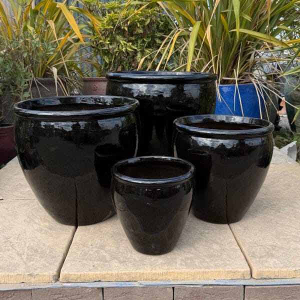 Glazed Black Rimmed Egg Pot