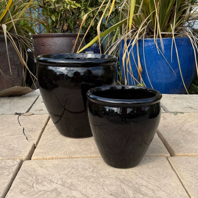 Glazed Black Rimmed Egg Pot - Image 4