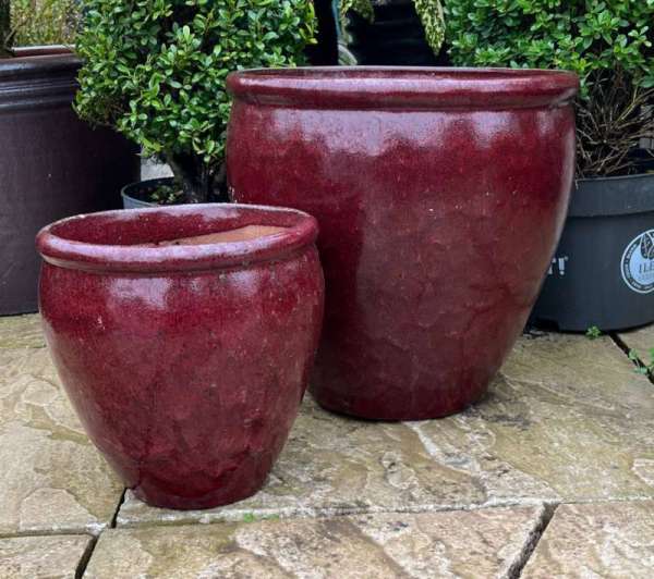 Glazed Ox Blood Red Rimmed Egg Pot - Image 4