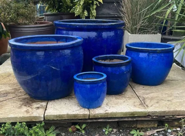 Glazed Blue Ace Pot