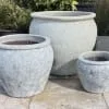 Atlantis White Saigon Pot