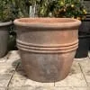 Old Stone Giant 3 Ring Pot - Image 4