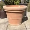 Tuscan Double Rim Medium