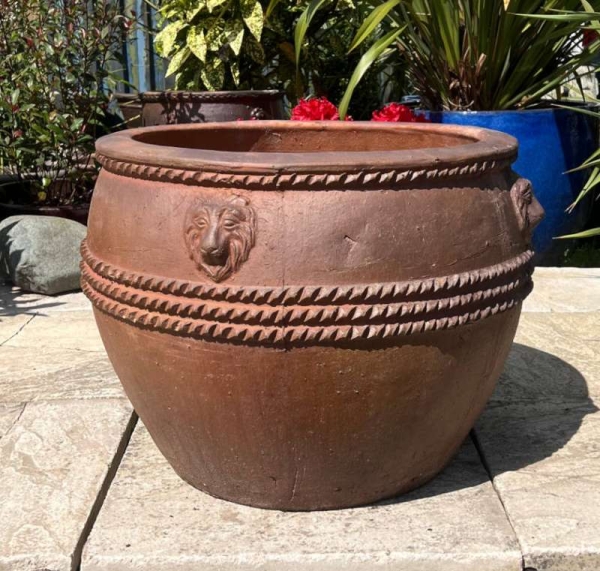 Rustic Lion Head Pot - Image 2