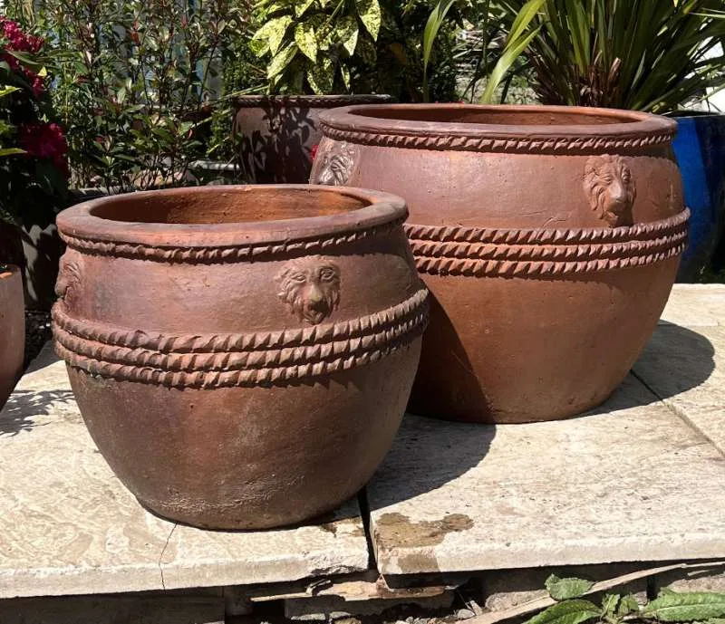 Rustic Lion Head Pot
