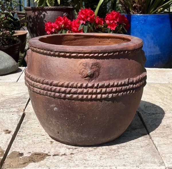 Rustic Lion Head Pot - Image 3