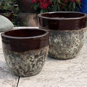 Atlantis 2 Tone Egg Pot Short-Set
