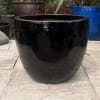 Glazed Black Giant Egg Pot - Image 3