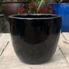 Glazed Black Giant Egg Pot - Image 4